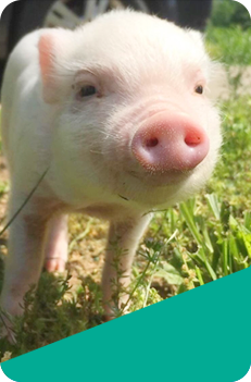 湖州天和機(jī)械有限公司